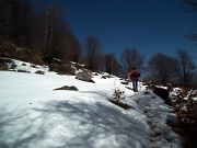 47 neve sul sentiero nel bosco...